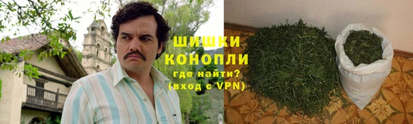 СК Богородицк
